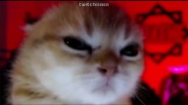 maxresdefault (4).jpg